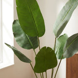Product afbeelding 2