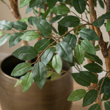 Product afbeelding 2