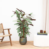 Product afbeelding 1