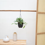 Product afbeelding 2