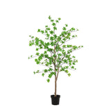 Product afbeelding 7