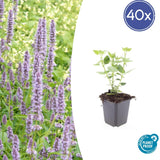 Product afbeelding 9
