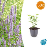 Product afbeelding 10
