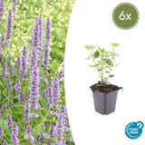 Product afbeelding 1