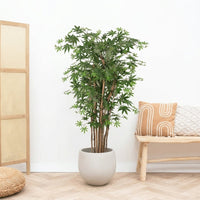 Kunst Acer - 150cm