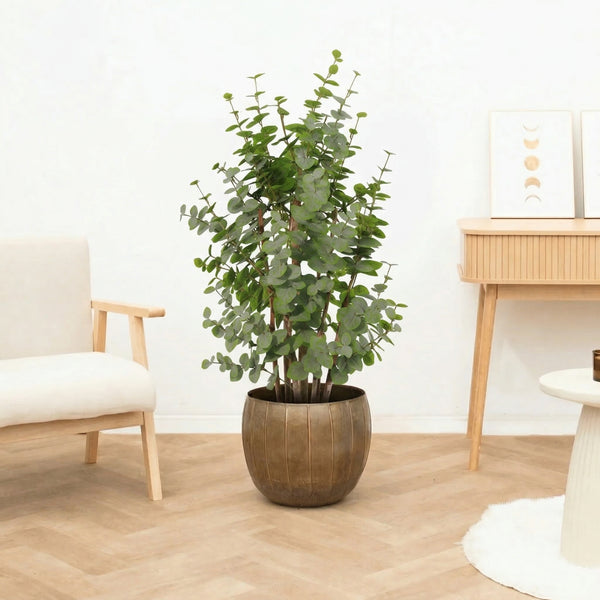 Kunst Eucalyptus green - 120cm kopen bij Green Bubble