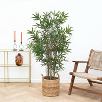 Kunst Bamboe - 144cm