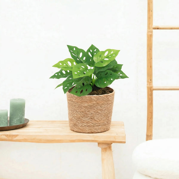 Kunst Monstera Monkey leaf - 22cm kopen bij Green Bubble