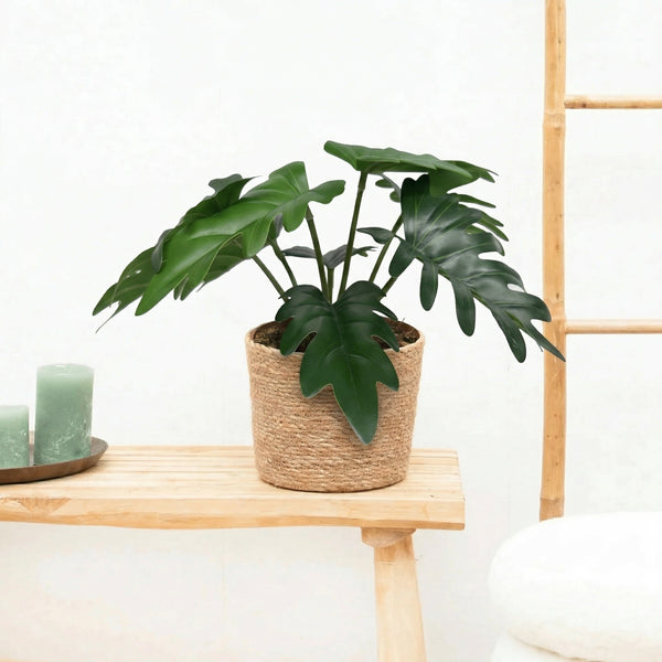 Kunst Philodendron Xanadu - 20cm kopen bij Green Bubble