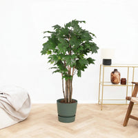 Kunst Oak tree - 170cm