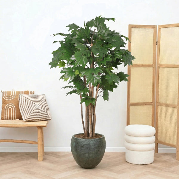 Kunst Maple tree - 150cm kopen bij Green Bubble