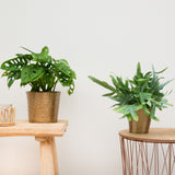 Product afbeelding 4