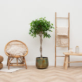 Product afbeelding 2