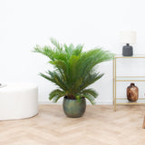 Product afbeelding 1