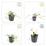 Product afbeelding 4
