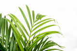 Product afbeelding 5