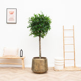 Product afbeelding 7