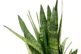Product afbeelding 3
