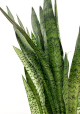 Product afbeelding 4