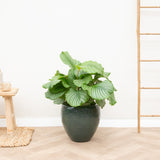 Product afbeelding 1