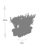 Product afbeelding 3