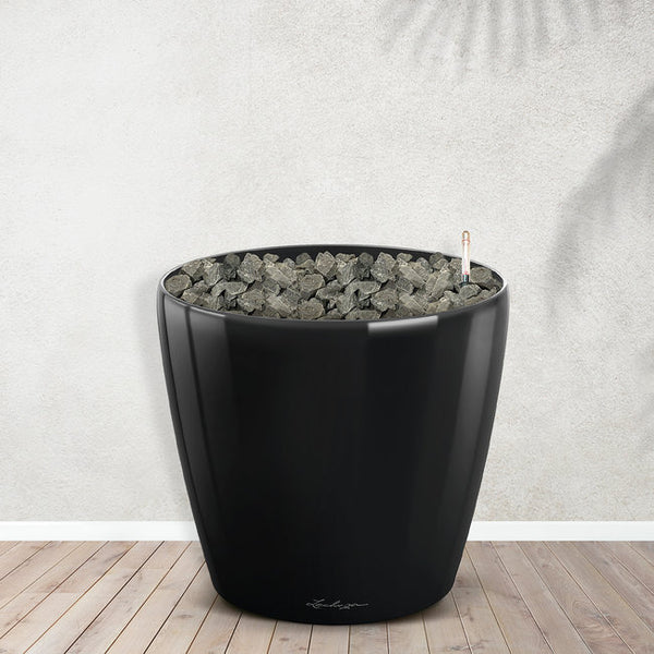 Caryota Mitis inklusive Joy M - 120cm kopen bij Green Bubble