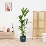 Product afbeelding 2