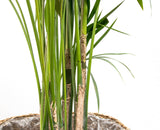 Product afbeelding 4
