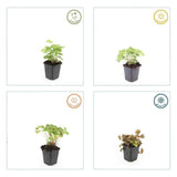 Product afbeelding 2