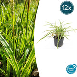 Product afbeelding 7
