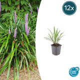Product afbeelding 6