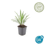 Product afbeelding 4