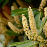 Product afbeelding 3