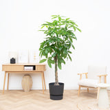 Product afbeelding 1