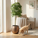 Product afbeelding 4