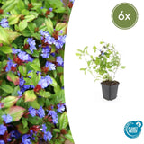 Product afbeelding 1