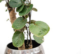 Product afbeelding 4