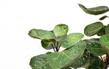 Product afbeelding 4