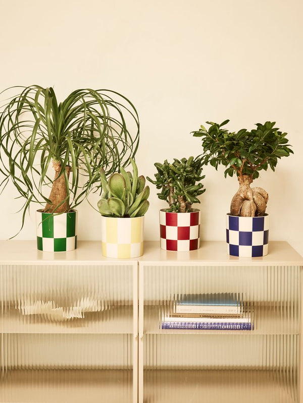 Pot Elho Blocks & Stripes vert