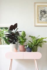Topf Elho Vibes Fold Round Mini anthrazit