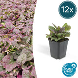 Product afbeelding 7