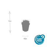 Product afbeelding 5