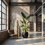 Product afbeelding 6