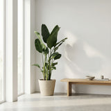Product afbeelding 9