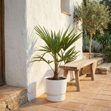 Product afbeelding 2
