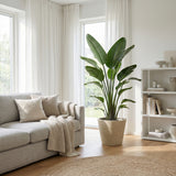 Product afbeelding 5