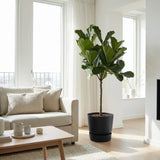 Product afbeelding 5