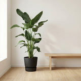 Product afbeelding 4