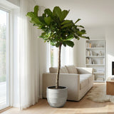 Product afbeelding 4