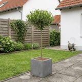 Product afbeelding 4